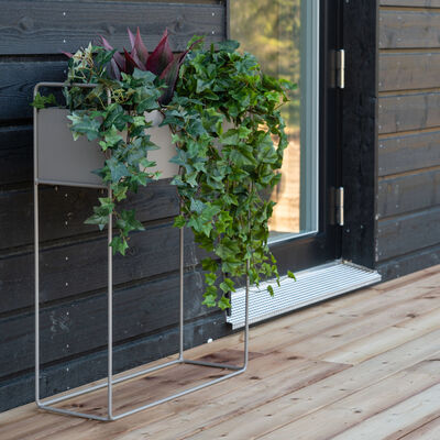 Kallas kukkateline valkoinen